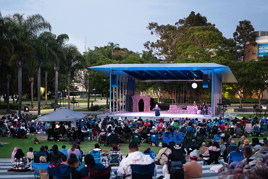 crowd of people on grass watching a play