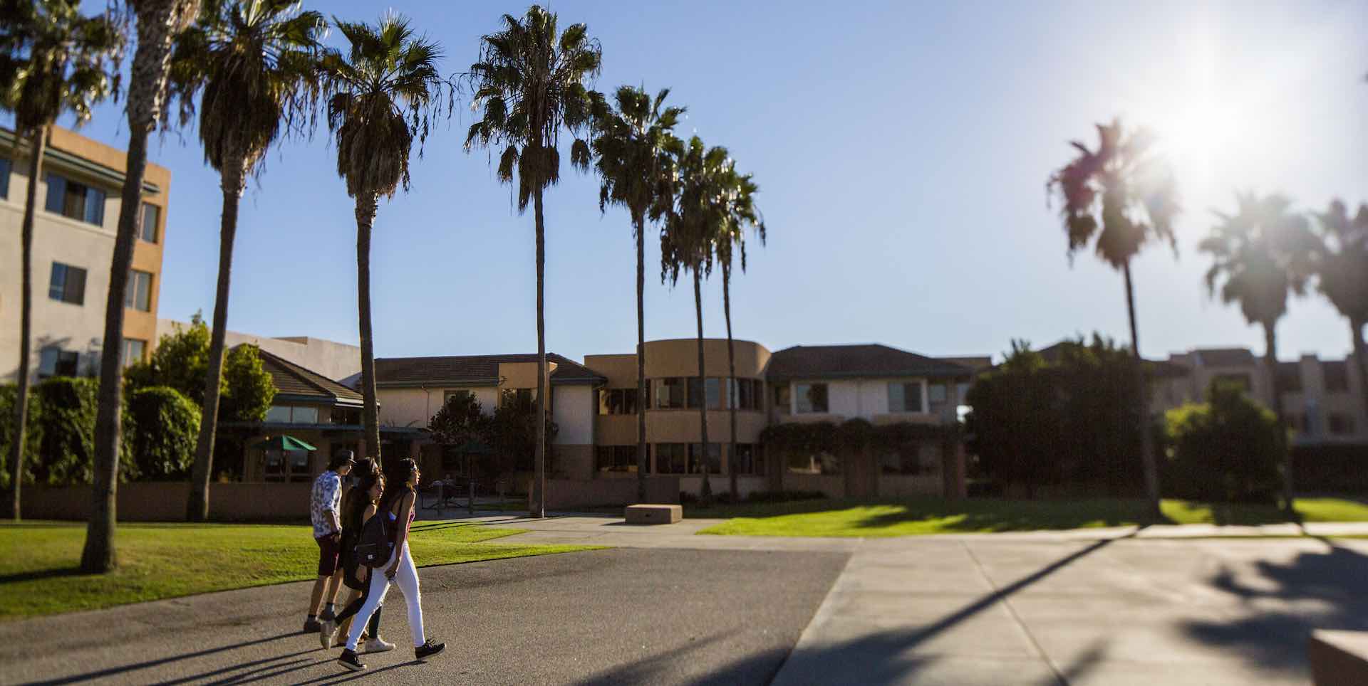 students walking near residence halls toward the sun